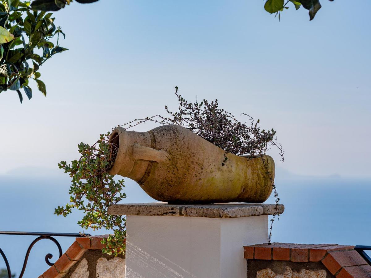 Casa Astra Bed & Breakfast Anacapri  Exterior photo